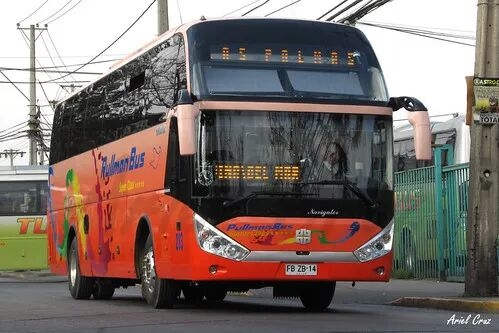 200万公里零大修！中通客车凭实力“霸榜”智利客运市场